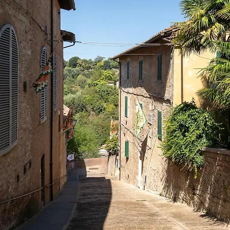 Loft D'artista - Contrada Selva Apartment *