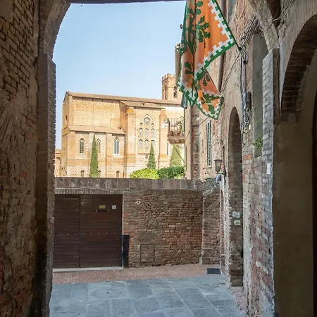 Apartment Loft D'artista - Contrada Selva